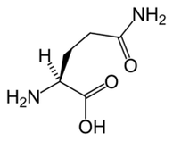 L-γλουταμίνη σε Keto Diet